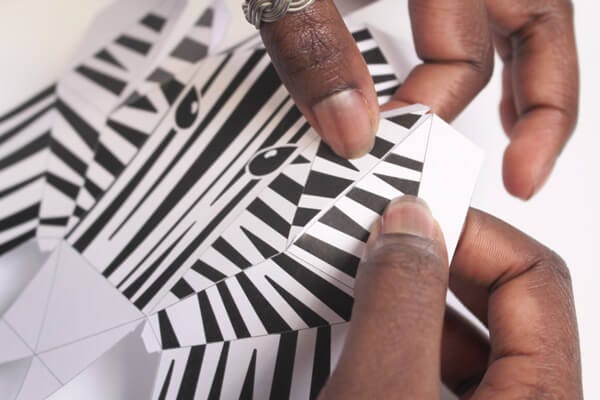 Löwe, Zebra, Koala für das Kinderzimmer