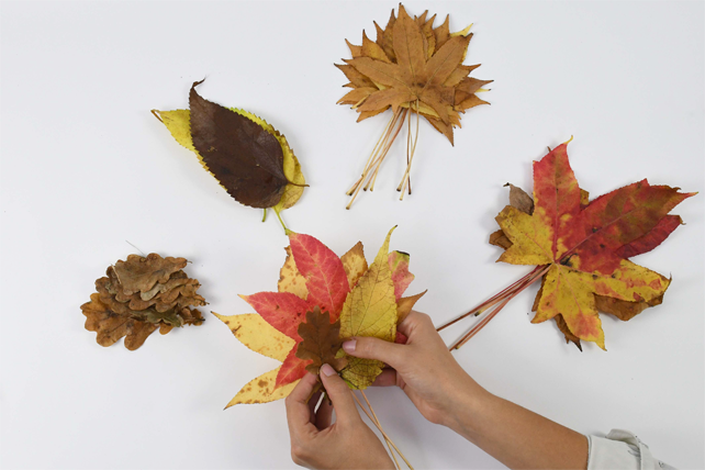 Herbstblätterkranz: schritt 1